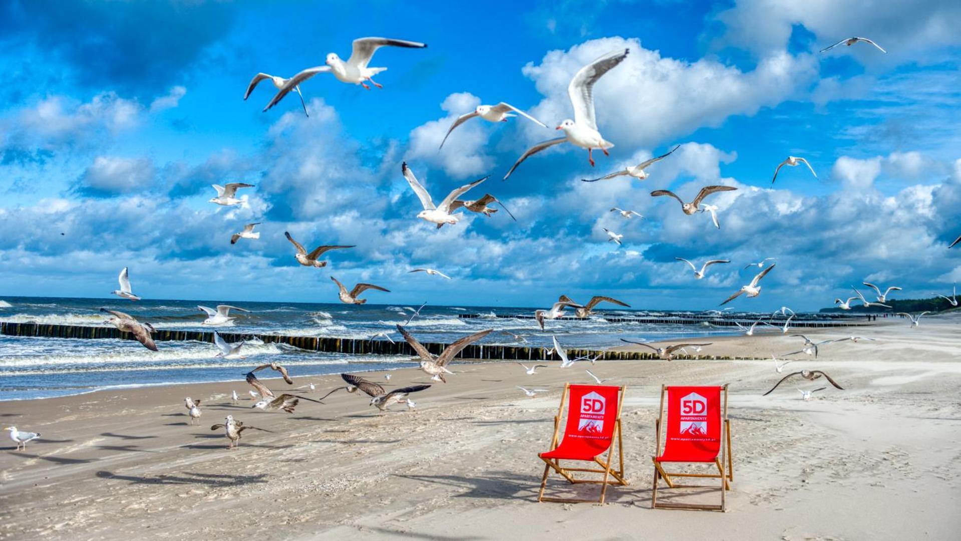 Rezydencja Niechorze 324 - 5D Apartamenty Dış mekan fotoğraf
